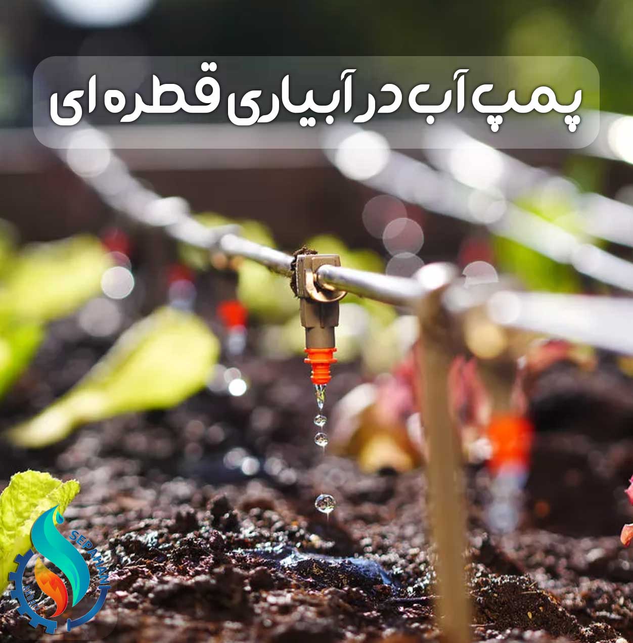 پمپ آب در آبیاری قطره ای